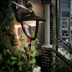 Philips Robin Wit Licht Zwart Hangend -Huishoudelijke Artikelen 123 810